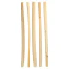 Bio-Strohhalm aus Schilf | Ø 10 mm x 25 cm - Papstar Pure (50 Stk)