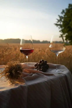 Burgunderglas | Cocoon - Stölzle Lausitz | 710 ml (6 Stk)