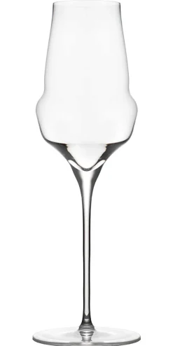 Champagnerglas | Cocoon - Stölzle Lausitz | 340 ml (6 Stk)