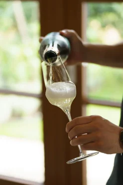 Champagnerglas | Cocoon - Stölzle Lausitz | 340 ml (6 Stk)