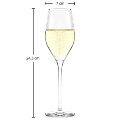 Champagnerglas | Exquisit Royal - Stölzle Lausitz | 265 ml (6 Stk)