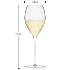 Champagnerglas | Fino - Stölzle Lausitz | 425 ml (6 Stk)