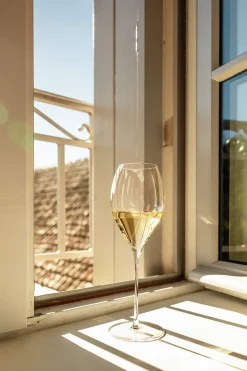 Champagnerglas | Fino - Stölzle Lausitz | 425 ml (6 Stk)