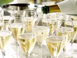 Champagnerglas | Prestige - Stölzle Lausitz | 0,1l Eiche - 345 ml (6 Stk)