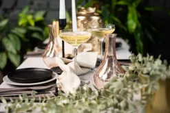 Champagnerschale Twist | Stölzle Lausitz | 220 ml (6 Stk)