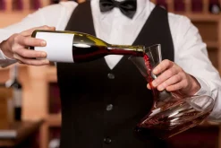 Dekanter Weinland | Stölzle Lausitz | 750 ml