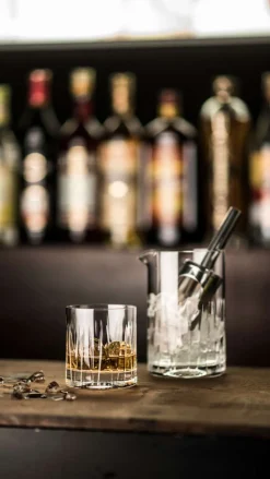 Double Old Fashioned | Basic Bar Motion - Schott Zwiesel | 370 ml