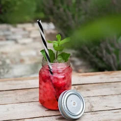 Drinking Jar | 450 ml (6 Stk)