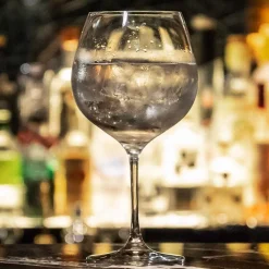 Gin & Tonic Ballon Kristallglas | 650 ml