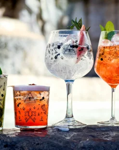 Gin Tonic Ballonglas - Alchemy Verzierung | 720 ml