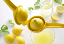 Handsaftpresse Mittel | Zitrone