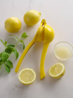 Handsaftpresse Mittel | Zitrone