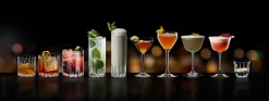 Highball Glas | Drink Specific Glasware - Riedel Bar | 310 ml (2 Stk)