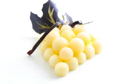 Kugelausstecher | 22 & 25 mm