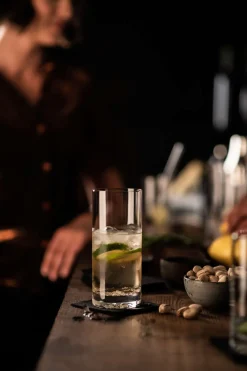 Longdrinkglas | Perspective - Schott Zwiesel | 480 ml