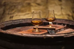 Nosing Glas | Stölzle Lausitz | Dekoverpackung - 195 ml