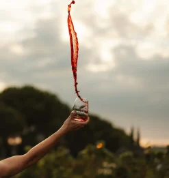 Rotweinbecher | Cocoon - Stölzle Lausitz | 560 ml (6 Stk)