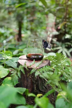 Rotweinbecher | Cocoon - Stölzle Lausitz | 560 ml (6 Stk)