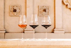 Rotweinglas | Cocoon - Stölzle Lausitz | 610 ml (6 Stk)