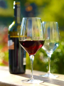 Rotweinglas | Exquisit - Stölzle Lausitz | 480 ml (6 Stk)