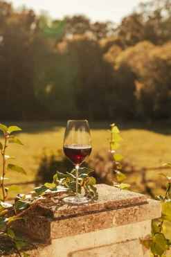 Rotweinglas | Fino - Stölzle Lausitz | 545 ml (6 Stk)