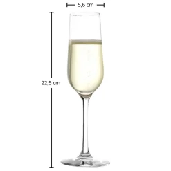 Sektglas | Revolution - Stölzle Lausitz | 0,1l Eiche - 200 ml (6 Stk)