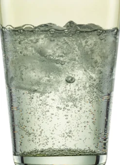 Wassergläser | Sonido - Schott Zwiesel | Olive - 550 ml (6 Stk)