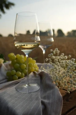 Weißweinglas | Cocoon - Stölzle Lausitz | 480 ml (6 Stk)