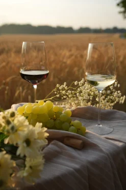 Weißweinglas | Cocoon - Stölzle Lausitz | 480 ml (6 Stk)