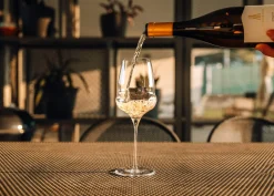 Weißweinglas | Cocoon - Stölzle Lausitz | 480 ml (6 Stk)