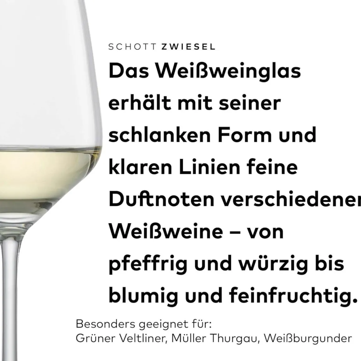 Weißweinglas | Taste - Schott Zwiesel | 0,1l Eiche - 360 ml (6 Stk)