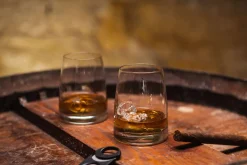 Whiskybecher DOF | Experience - Stölzle Lausitz | 325 ml (6 Stk)